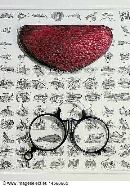medicine  ophthalmology  glasses  pince-nez with case  late 19th century  on steel engraving by Henry Winkles  circa 1840