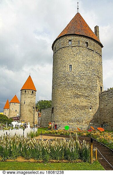 Medieval city fortification with battlements and defence towers  Tallinn  Estonia  Tallinn  Estonia  Europe