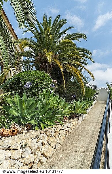 Mediterrane Villa und Garten in Alicante Spanien.