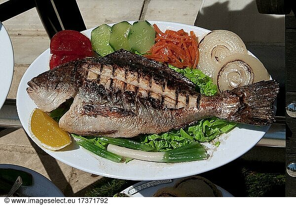 Mediterranes Fischgericht gegrillte Dorade  Goldbrasse (Sparidae) in Restaurant an Hafenpromenade  Bodrum  Türkei  Asien