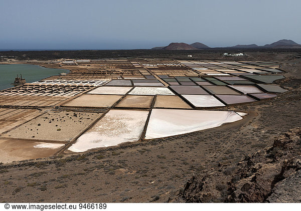 Meersalzgewinnung  Salinen von Janubio  Salinas de Janubio  Lanzarote  Kanarische Inseln  Spanien  Europa
