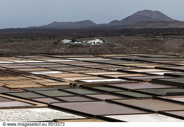 Meersalzgewinnung Salinen von Janubio Salinas de Janubio Lanzarote Kanarische Inseln Spanien Europa