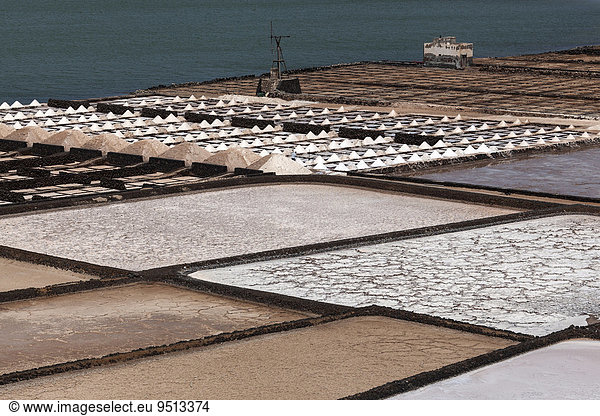 Meersalzgewinnung  Salinen von Janubio  Salinas de Janubio  Lanzarote  Kanarische Inseln  Spanien  Europa