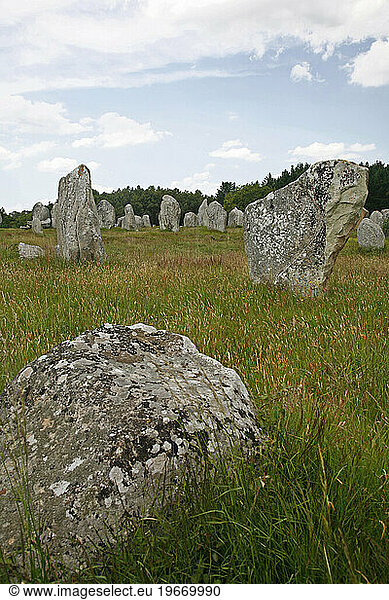 Megalithic stones alignments de Kremario  Carnac  Morbihan  Brittany  France.