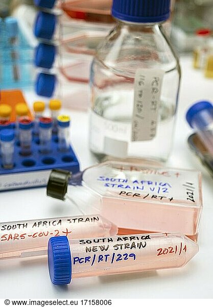 Mehrere Fläschchen mit positivem Befund für eine Covid-19-Infektion der neuen Variante in Südafrika  konzeptionelles Bild.