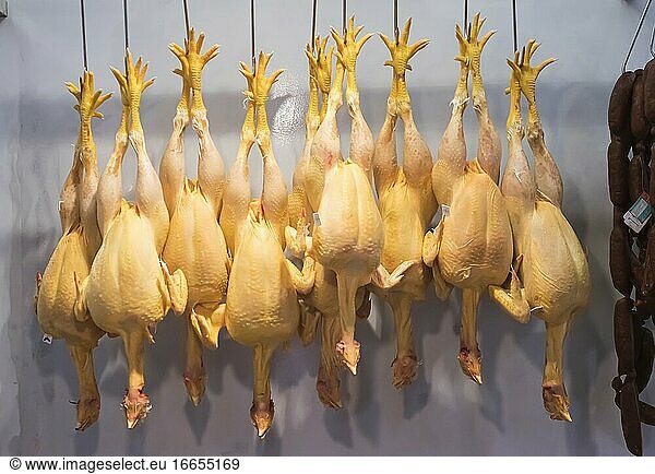 Mehrere Masthühner hängen in einer Metzgerei  Spanien.