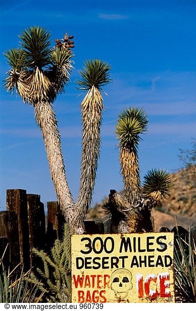 Melden Sie Route 66. Arizona  USA