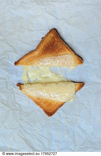 Melted processed cheese with toast  processed cheese