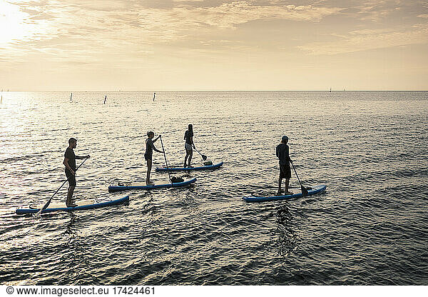 Men and women paddleboarding in sea during sunset