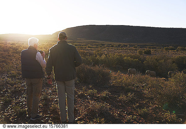 Men on safari watching elephants in sunny grassland South Africa
