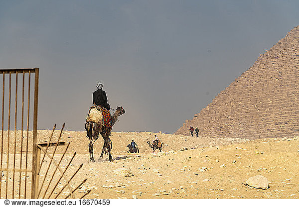 Men riding camels while others walk through the pyramids of Giza