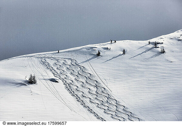 Men walking on snowcapped mountain  Tyrol  Austria