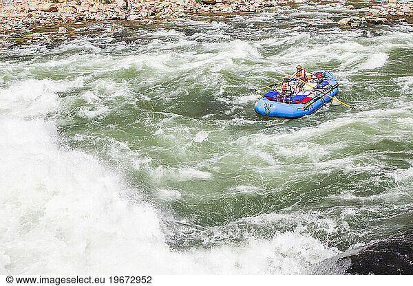 Men white water rafting on Colorado River  Grand Canyon  Colorado  USA