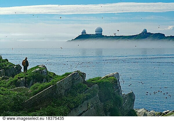 Mensch auf Klippen  viele Seevögel  militärische Abhöranlagen  Nebel  stimmungsvoll  Vardö. hornöya  Eismeer  Finnmark  Norwegen  Europa