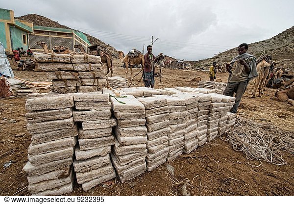 Mensch Menschen arbeiten Depression Bergwerk Grube Gruben Äthiopien Speisesalz Salz