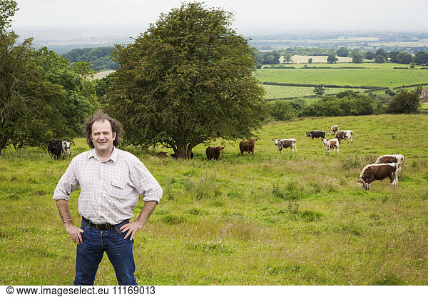 Mensch und eine Herde englischer Longhorn-Rinder auf einer Weide.