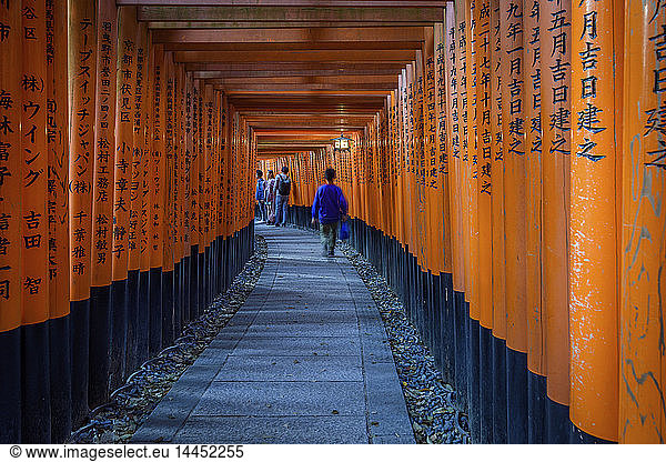 Menschen  die durch rote Torii-Tore gehen  Kyoto  Japan.