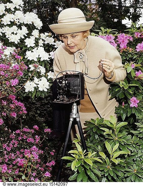 Menschen hist.  Frauen  1960er Jahre  Ã¤ltere Dame mit Fotoapparat beim Fotografieren von Blumen