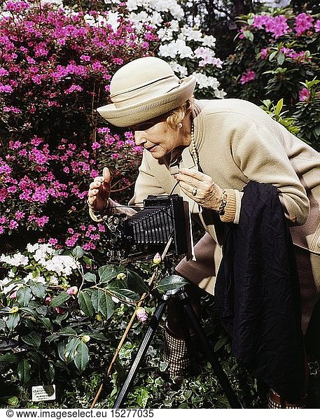 Menschen hist.  Frauen  1960er Jahre  Ã¤ltere Dame mit Fotoapparat beim Fotografieren von Blumen