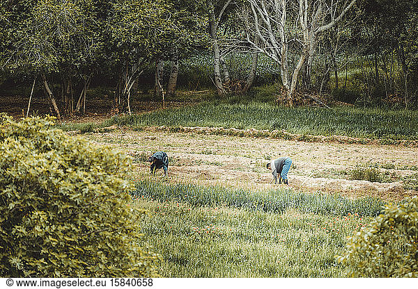 Menschen in der Landwirtschaft im Atlas-Gebirge
