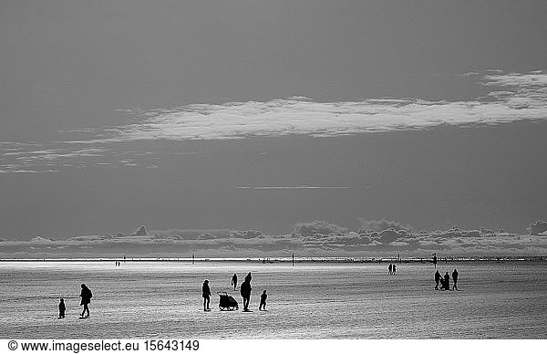 Menschen  Silhouetten im Wattenmeer  monochrom  Nordsee  Sankt Peter Ording  Schleswig-Holstein  Deutschland  Europa