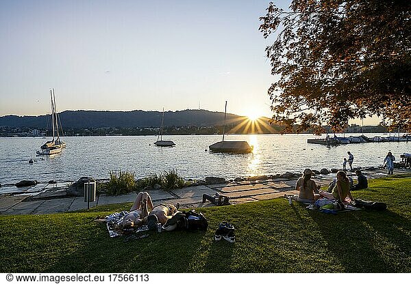 Menschen sonnen sich am Ufer des Zürichsee  Sonnenstern  Abendsonne  Zürichhorn  Zürich  Schweiz  Europa