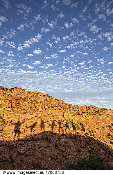 Menschenschatten auf windgeformten Sandsteinformationen bei Los Gatos  Baja California Sur  Mexiko  Nordamerika
