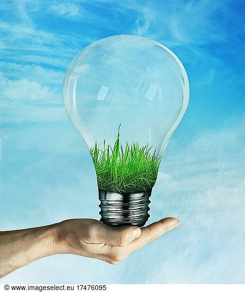 Menschliche Hand hält eine Glühbirne  mit grünem Gras wächst innen  auf blauem Himmel Hintergrund. Energieeinsparung Konzept  umweltfreundliche Ökologie