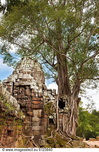 Menschlicher Vater  Engagement  Entdeckung  bauen  König - Monarchie  UNESCO-Welterbe  Asien  Kambodscha  Jahrhundert  Ende  Siem Reap