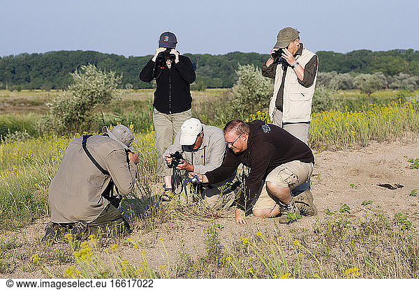 Mensen met verrekijkers en camera's in de natuur; People with binoculars en cameras enjoying nature