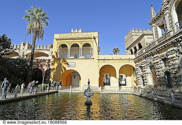 Mercury Teich  Garten  Jardines del Alcazar  Alcazar  Königspalast  Sevilla  Provinz Sevilla  Andalusien  Spanien  Europa