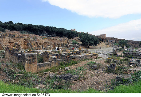 Meriniden-Nekropole Chellah  mit römisch-byzantinischen Ruinen  Marokko  Nordafrika  Afrika