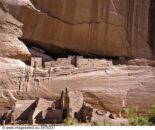 Mesa Verde  Felsbehausungen der Anasazi Indianer  Cliff Palace  Colorado  USA