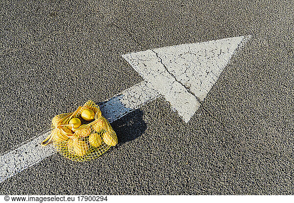 Mesh bag with lemons on arrow symbol