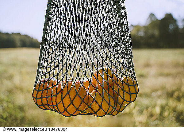 Mesh bags with fresh oranges