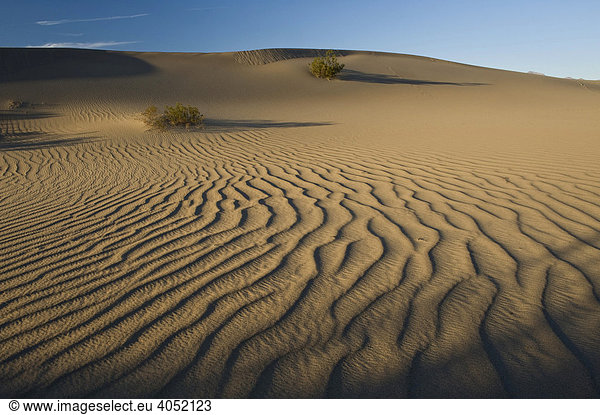Mesquite Flat Dünen Death Valley Kalifornien USA