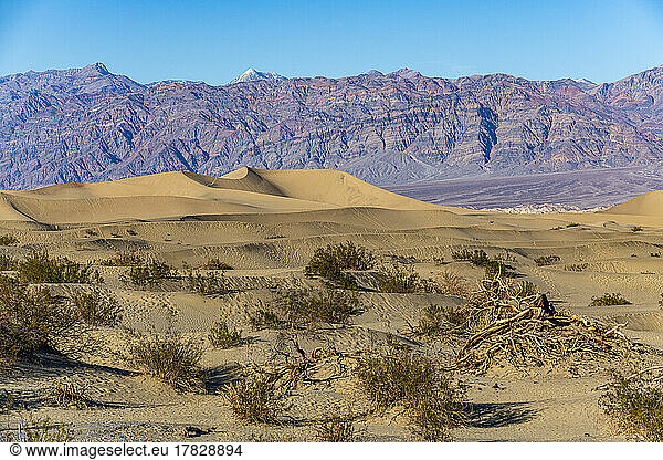 Mesquite Flat Sand Dunes  Death Valley  California  United States of America  North America