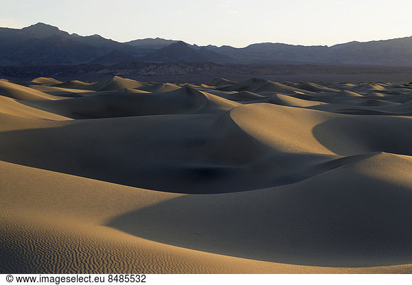Mesquite Flat Sand Dunes  Sandd¸nen am fr¸hen Morgen  Amargosa-Range Bergkette hinten  Death Valley  Death-Valley-Nationalpark  Kalifornien  USA
