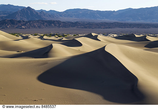 Mesquite Flat Sand Dunes  Sandd¸nen am fr¸hen Morgen  Amargosa-Range Bergkette hinten  Death Valley  Death-Valley-Nationalpark  Kalifornien  USA