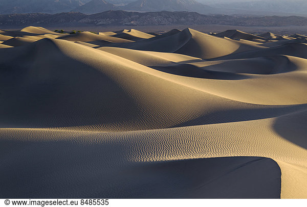 Mesquite Flat Sand Dunes  Sandd¸nen am fr¸hen Morgen  Ausl‰ufer der Amargosa-Range Bergkette hinten  Death Valley  Death-Valley-Nationalpark  Kalifornien  USA
