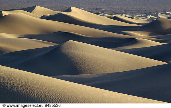 Mesquite Flat Sand Dunes  Sandd¸nen am fr¸hen Morgen  Death Valley  Death-Valley-Nationalpark  Kalifornien  USA