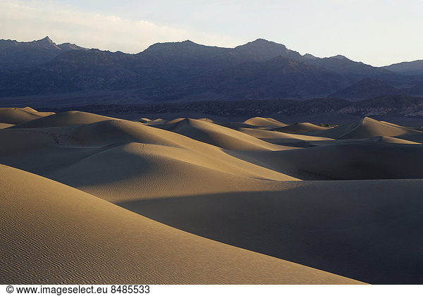 Mesquite Flat Sand Dunes  Sandd¸nen am fr¸hen Morgen  Grapevine Mountains hinten  Death Valley  Death-Valley-Nationalpark  Kalifornien  USA