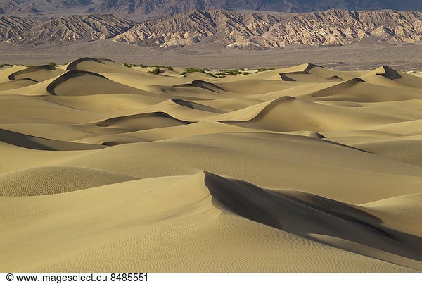 Mesquite Flat Sand Dunes  Sandd¸nen im Abendlicht  Ausl‰ufer Amargosa-Range Bergkette hinten  Death Valley  Death-Valley-Nationalpark  Kalifornien  USA