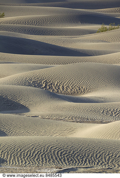 Mesquite Flat Sand Dunes  Sandd¸nen im Death Valley  Death-Valley-Nationalpark  Kalifornien  USA