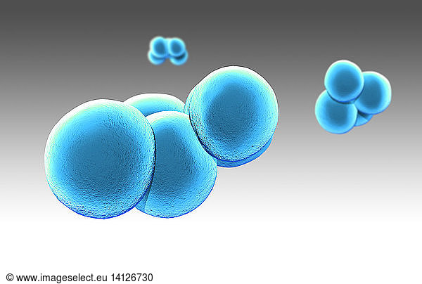 Methicillin Resistant Staphylococcus Aureus Mrsa Methicillin Resistant Staphylococcus Aureus