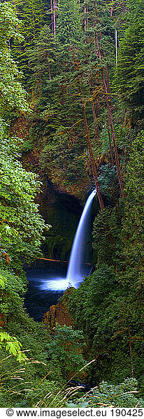 Metlako Falls waterfall in the Columbia River Gorge National Scenic Area in Hood River County  Oregon; July 2008.