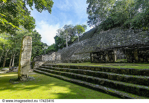 Mexico  Campeche  Ancient Maya temple in Calakmul