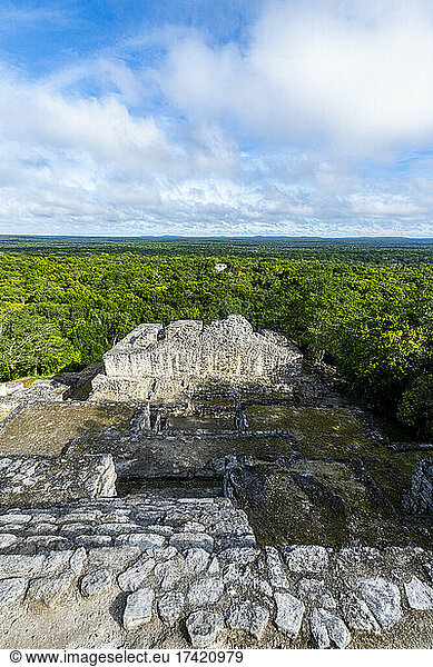 Mexico  Campeche  Green rainforest seen from ancient Maya ruins of Calakmul