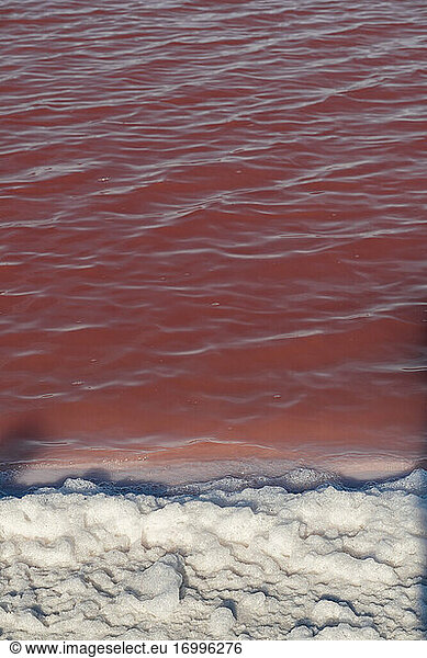 Mexico  Yucatan  Las Coloradas  Shore of red saline lake