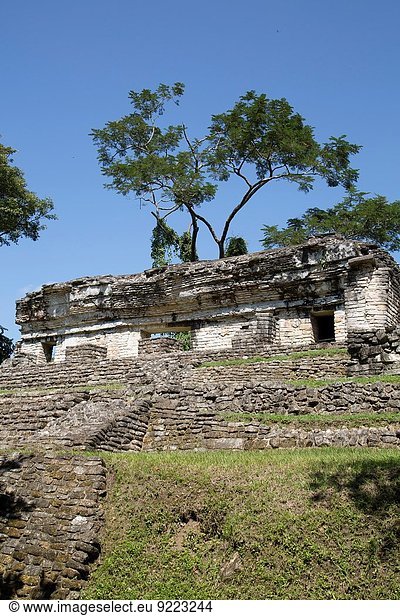 Mexiko Chiapas Palenque